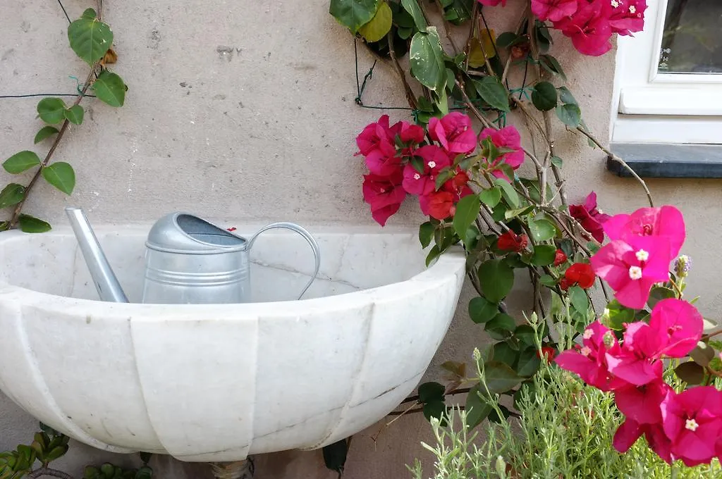 La Terrazza Di Vico Olivi B&B Βεντιμίλια 0*,