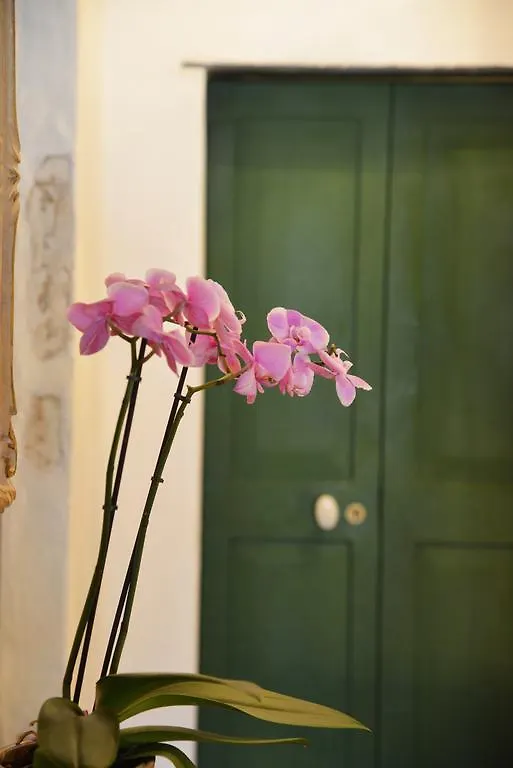 Bed and Breakfast La Terrazza Di Vico Olivi B&B Βεντιμίλια