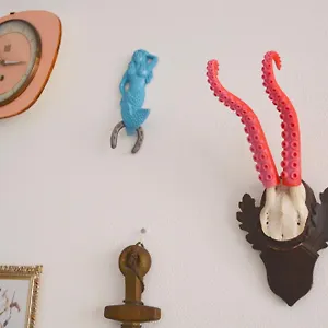 Bed & Breakfast Il Tentacolo, Ventimiglia